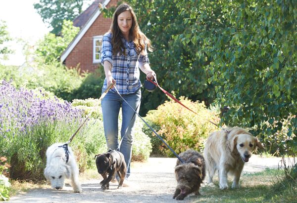 The Most Pet-Friendly Cities in the U.S.